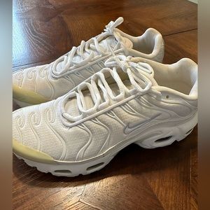 Nike Air Max Plus 6Y shoes
